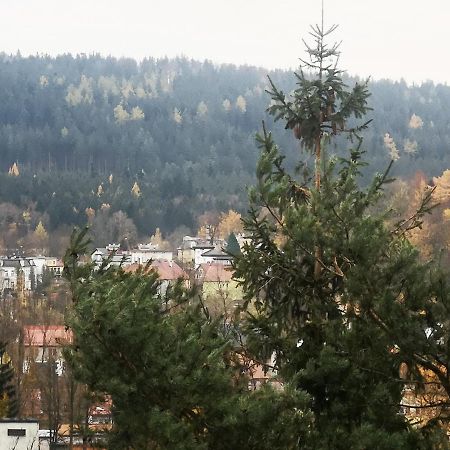 Irysek Appartement Lądek-Zdrój Buitenkant foto