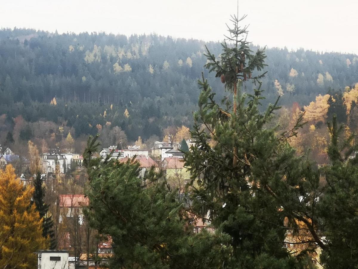 Irysek Appartement Lądek-Zdrój Buitenkant foto