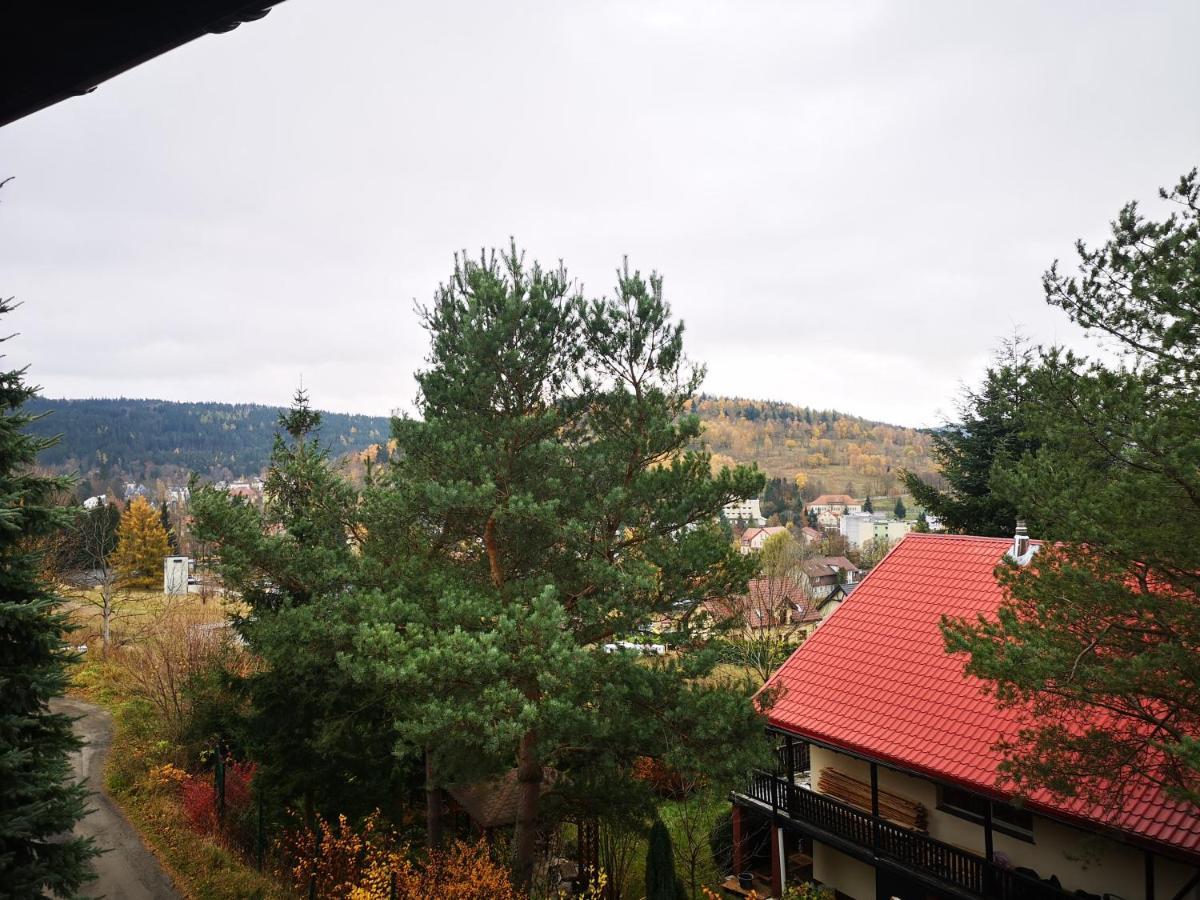 Irysek Appartement Lądek-Zdrój Buitenkant foto